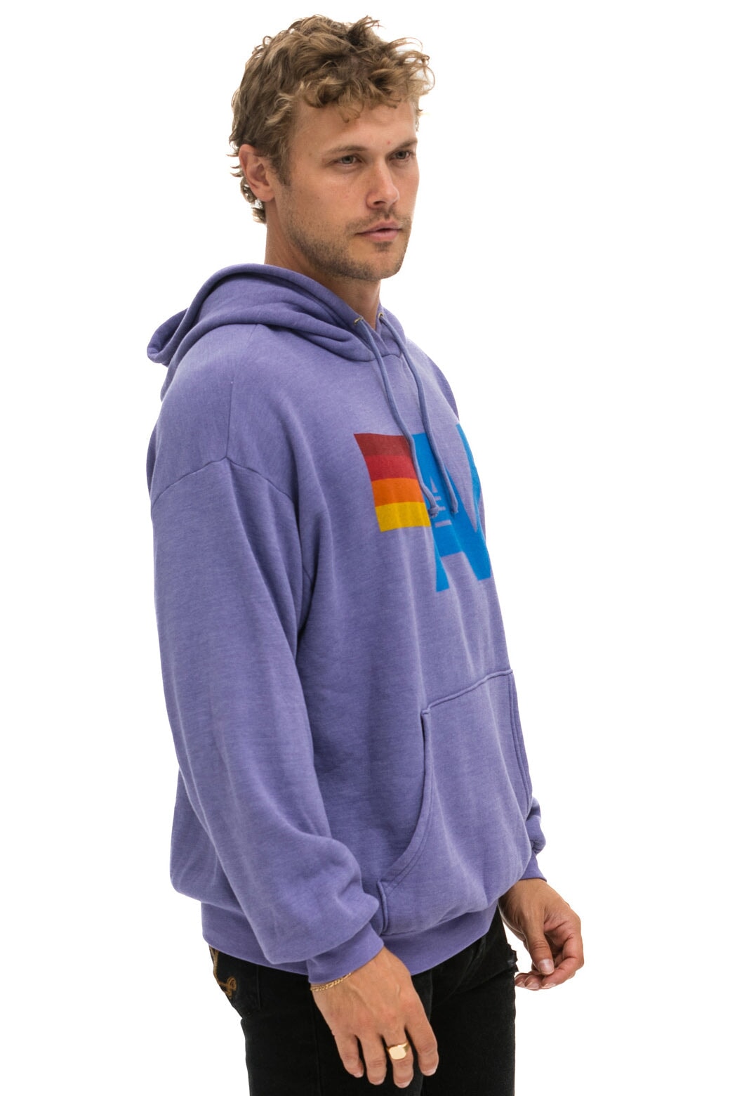 Aviator Nation, Relaxed Fit shops Logo Hoodie (L)