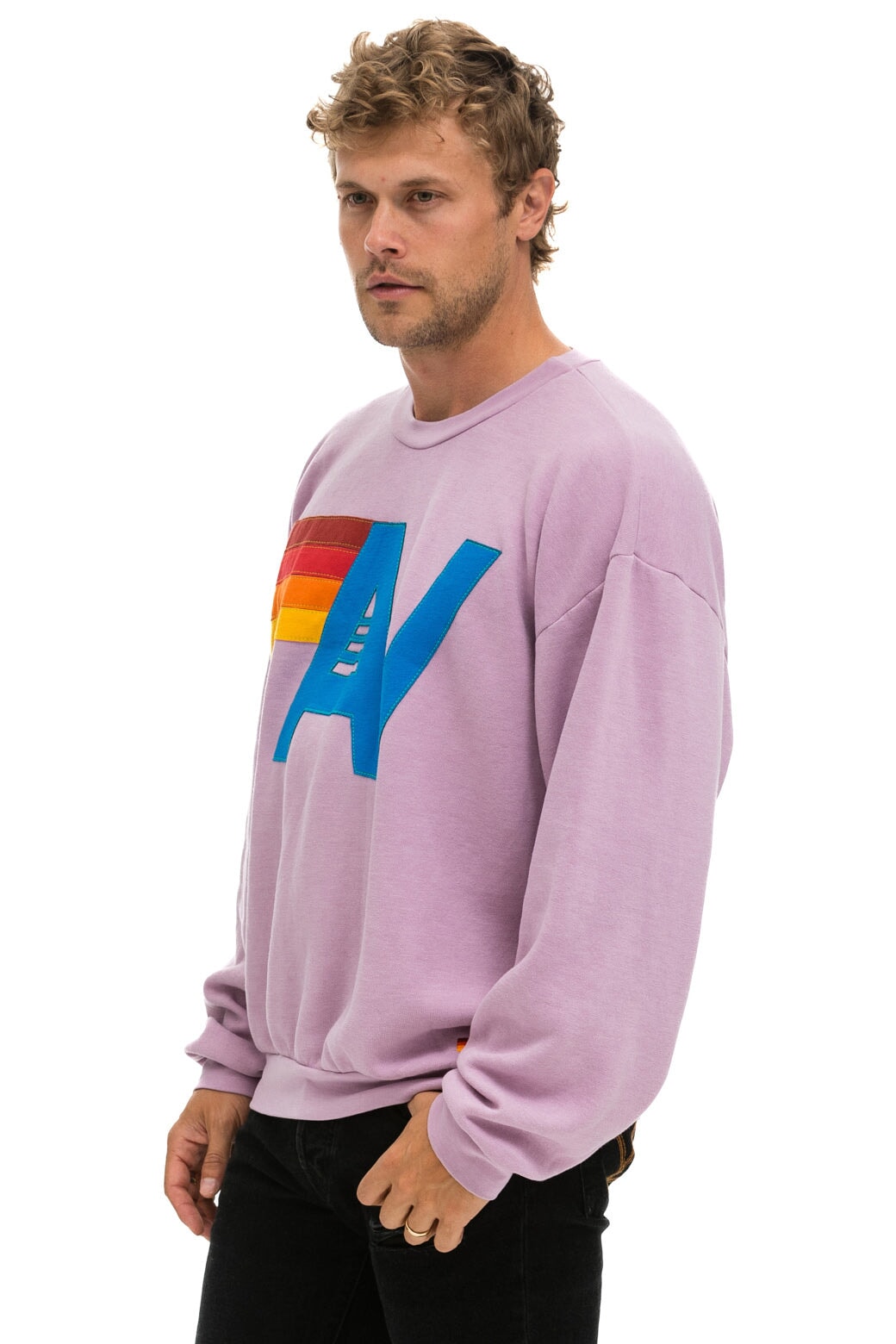 LOGO STITCH RELAXED CREW SWEATSHIRT - MAUVE Sweatshirt Aviator Nation 