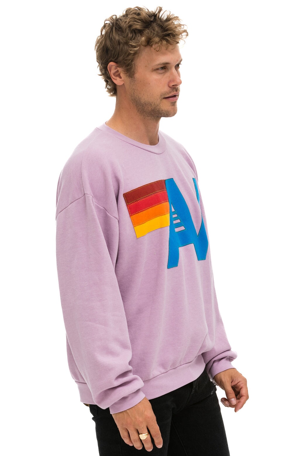 LOGO STITCH RELAXED CREW SWEATSHIRT - MAUVE Sweatshirt Aviator Nation 