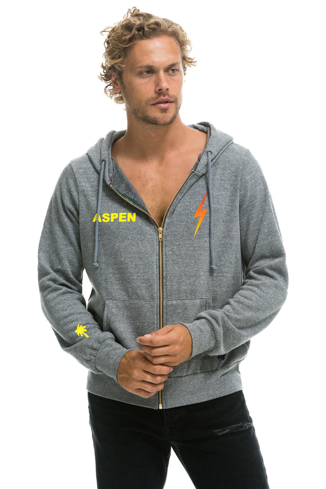 PALM TREE FESTIVAL ASPEN 2024 ZIP HOODIE HEATHER Aviator Nation