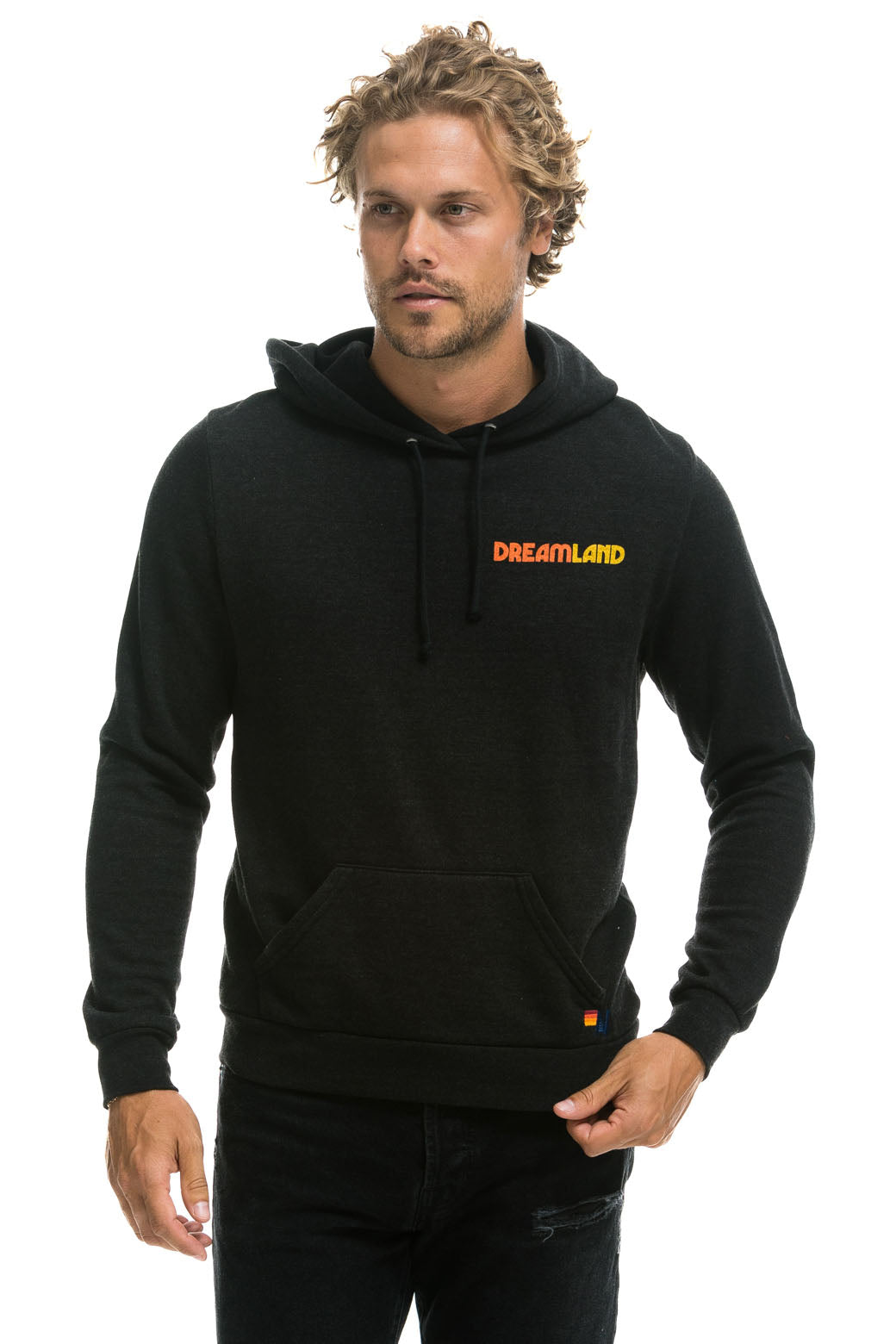 DREAMLAND LOGO PULLOVER HOODIE - BLACK Hoodie Aviator Nation 