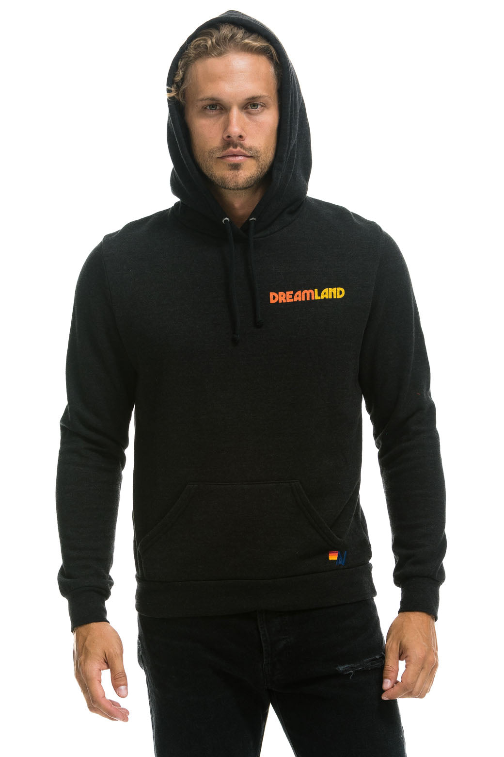 DREAMLAND LOGO PULLOVER HOODIE - BLACK Hoodie Aviator Nation 