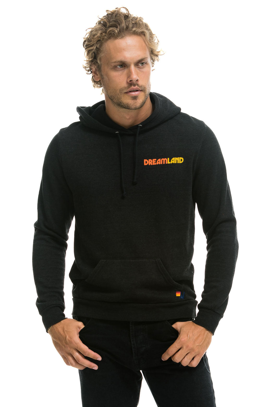 DREAMLAND LOGO PULLOVER HOODIE - BLACK Hoodie Aviator Nation 